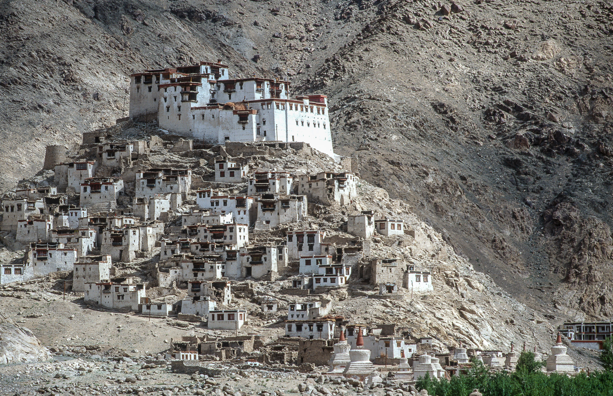 Ladakh066